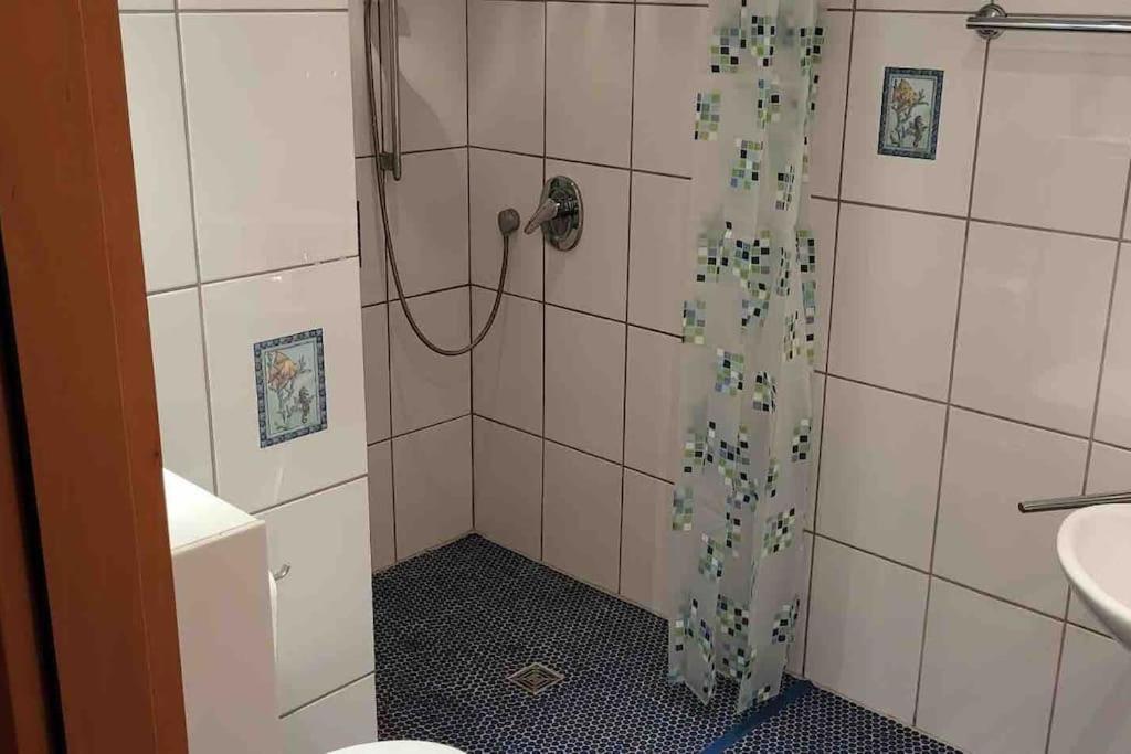 Apartment Im Pfaelzerwald Lambrecht  Extérieur photo